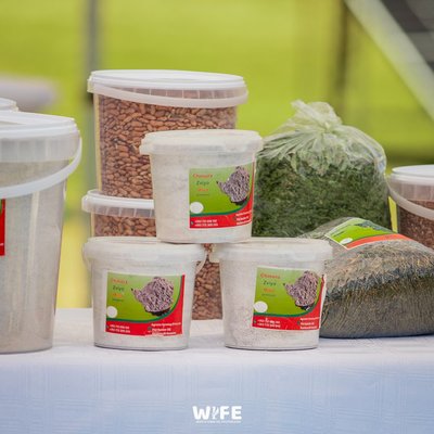 Community, Food For Life Festival 